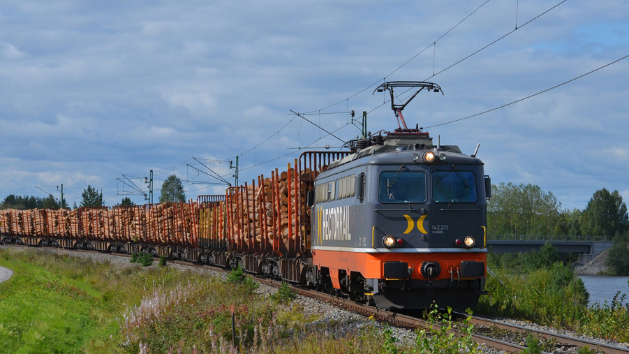 tåg med lastat timmer på järnväg