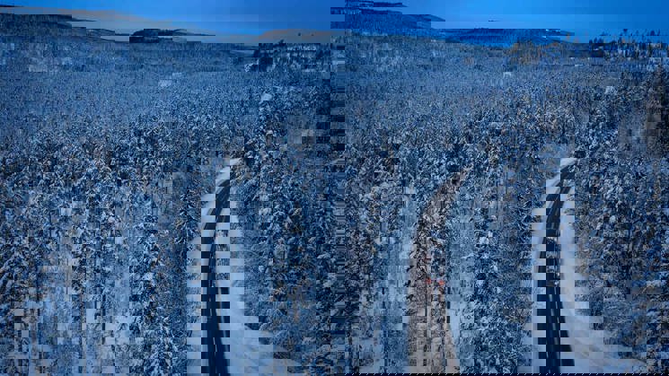 timmerlastbil i vinterlandskap