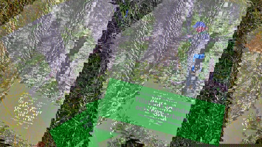 tre kopior av rapport om biologisk mångfald