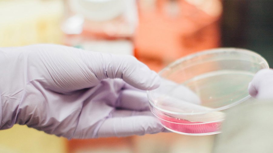 hand som håller i forskningsutrustning