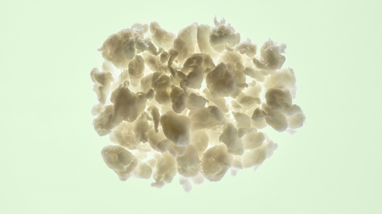 pappersmassa på grön bakgrund