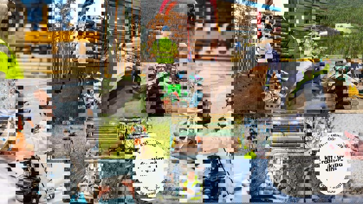 kollage med bilder från svensk skogsindustri