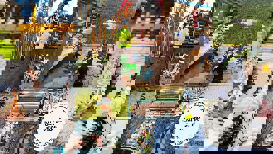 kollage med bilder från svensk skogsindustri