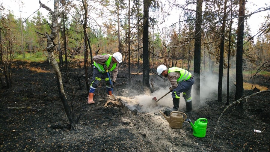 Finska och estländska skogsarbetare reste 100 mil på uppdrag av Stora Enso Finland för att bistå Räddningstjänsten i Sveg med att släcka bränderna i Härjedalen.