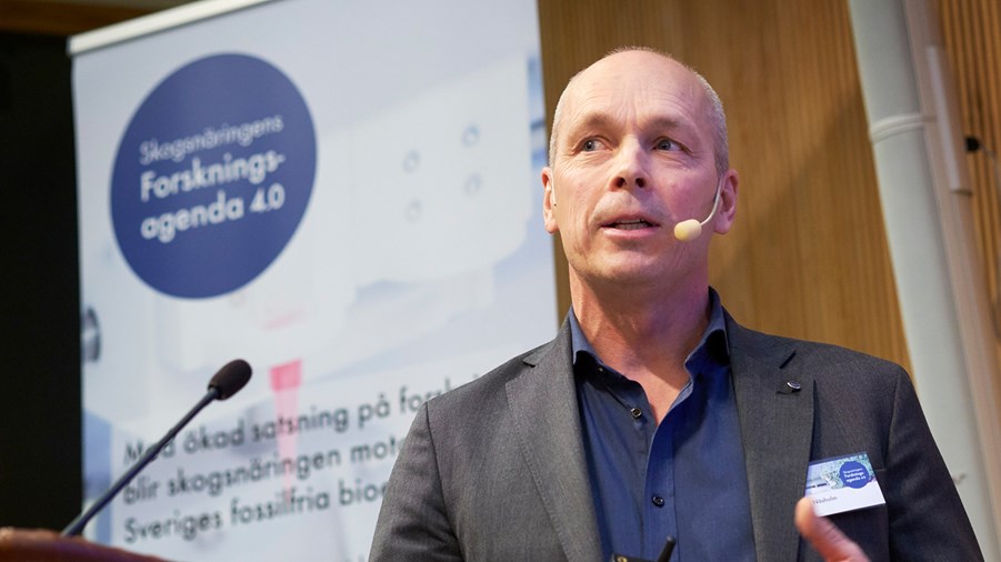 Torgny Näsholm, professor, SLU och årets Marcus Wallenbergpristagare