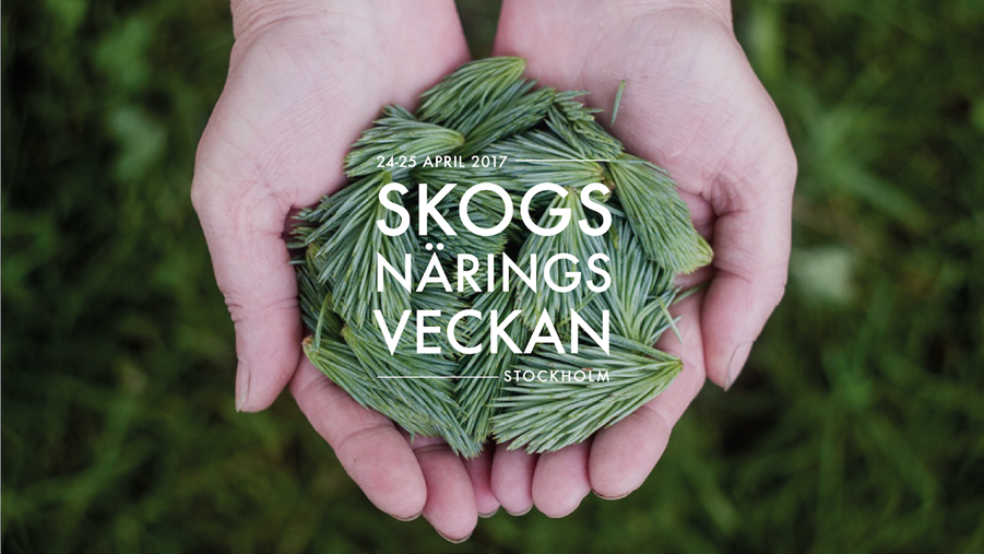 Skogsnäringsveckan 2017