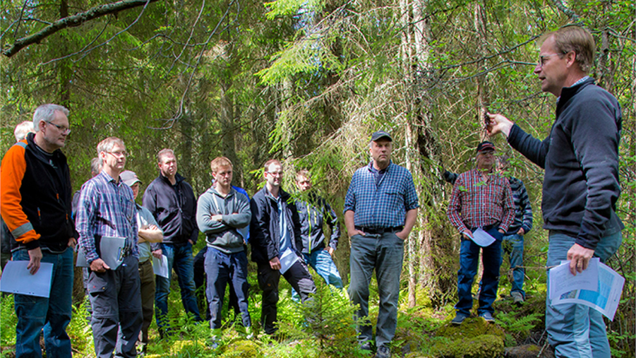 Personer på utbildning i skogen