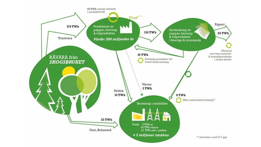 Statistik bioenergi